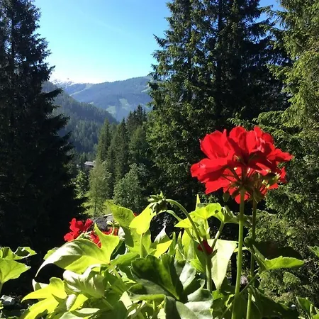 Sükar